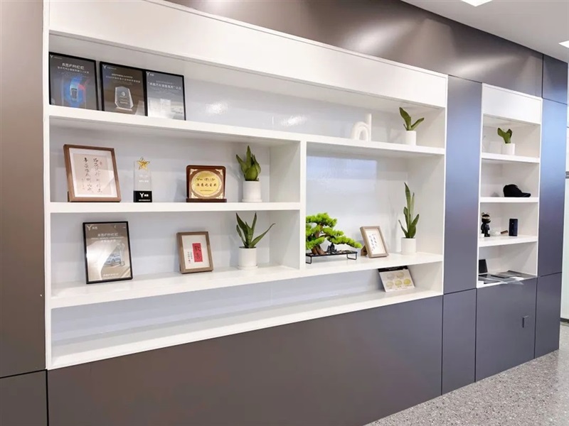 【17c.com新能（néng）源探店第13期】高端智（zhì）慧新能（néng）源：嵐圖汽車#10888