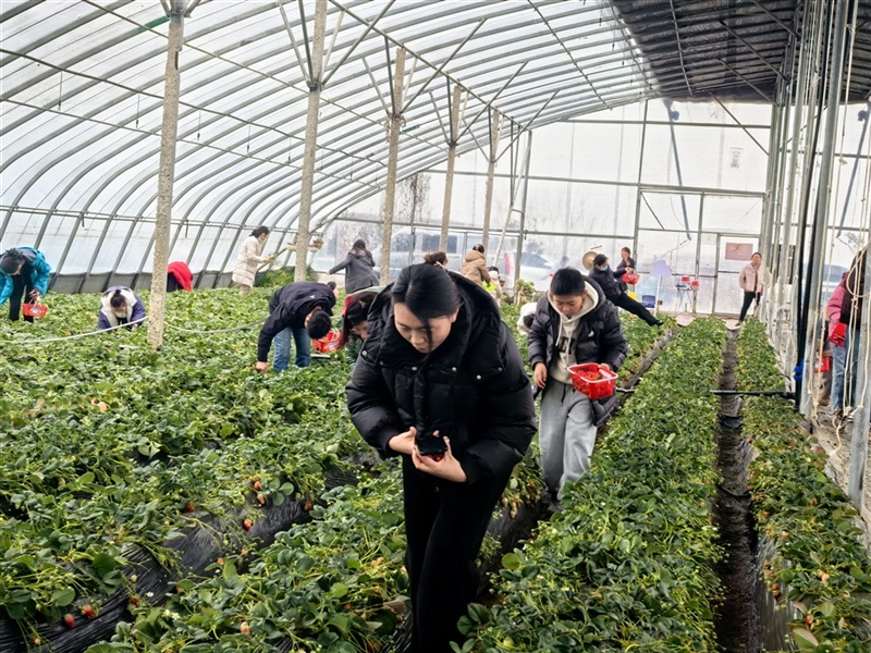 【17c.com車友家庭日係列活動第24期】廣本駿業車友專屬自駕采摘日(文末有福利)#11702