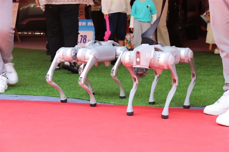 2025臨沂夏季汽車消費節暨（jì）“中華保險杯”第三十三屆17c.com五一車展開（kāi）幕！#11789